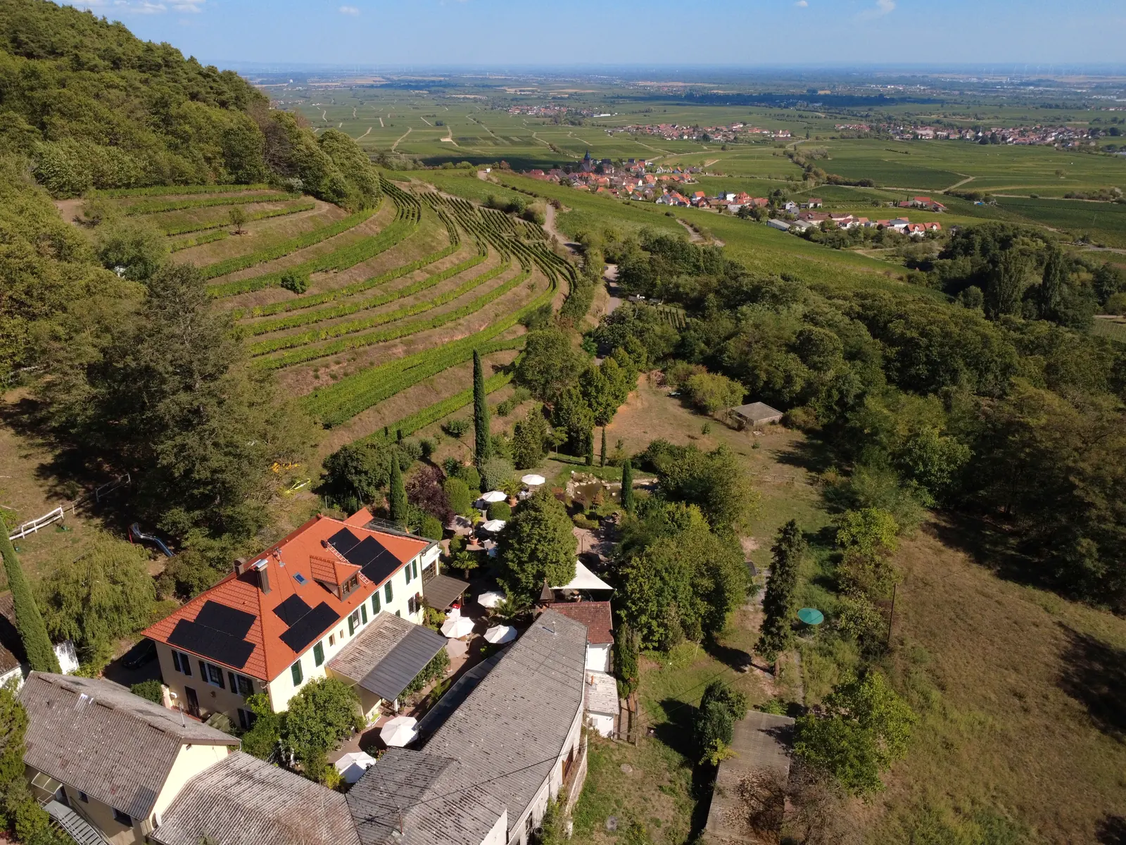 Luftaufnahme: das Gutshaus mit Terrasse am Hang, dahinter Rebterrassen, Burrweiler und die Rheinebene