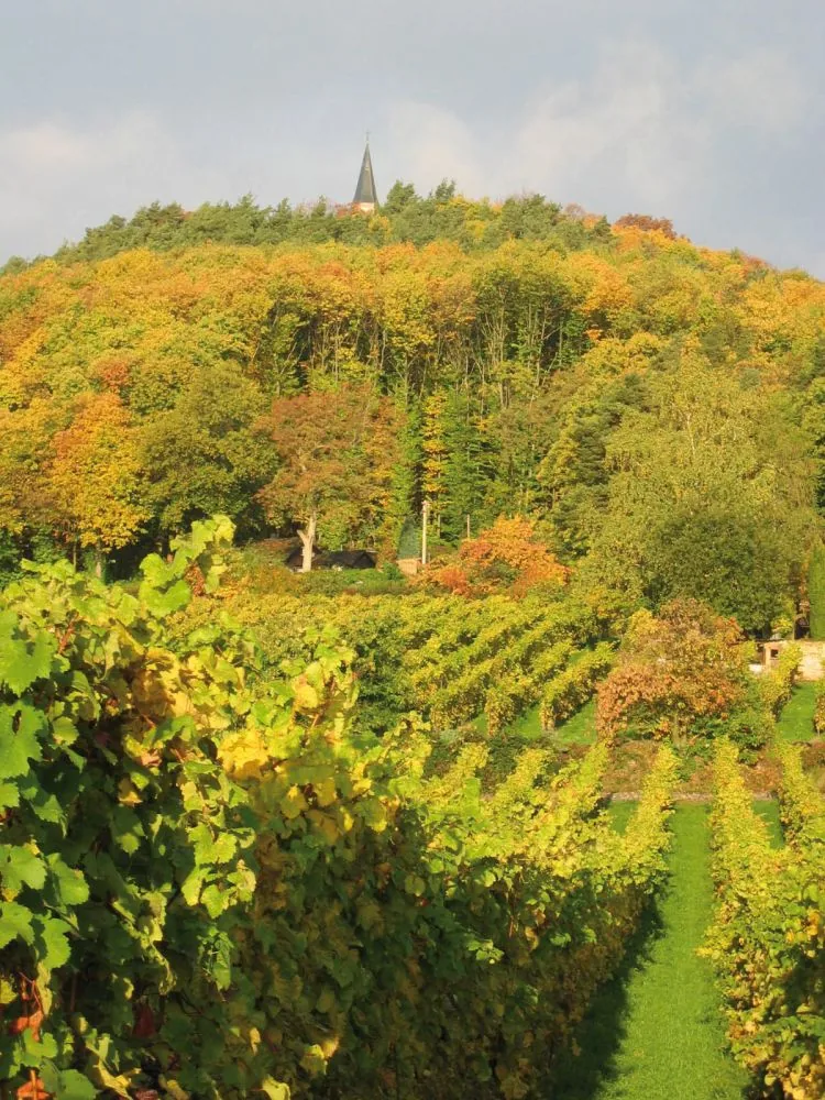 Die St. Anna Kapelle auf dem bewaldeten Berg über den herbstlichen Weinbergen