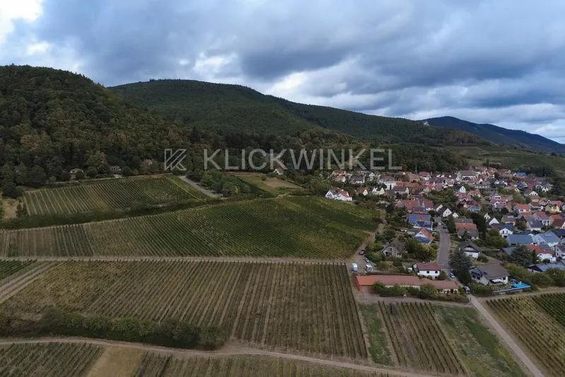 Drohnenaufnahme: Rebflächen der Gleisweiler Hölle vor dem Dorf, dahinter der Pfälzerwald