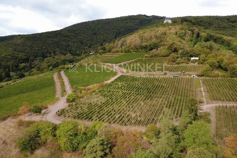 Drohnenaufnahme: Rebhang des Burrweiler Schäwer, oben am Berg die Kapelle