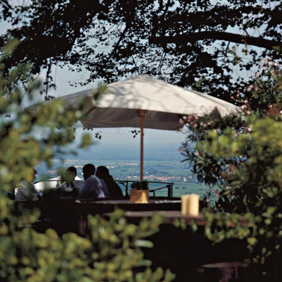 Gäste unter dem Sonnenschirm auf der Terrasse, dahinter die Rheinebene