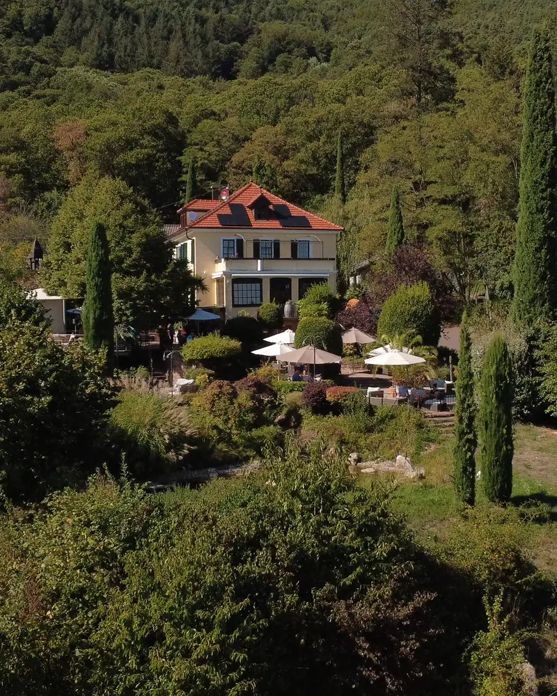 Der Sankt Annaberg von oben: das Gut zwischen Weinbergen und Wald
